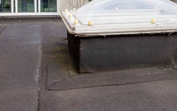 disadvantages of Loxhore Cott flat roofs