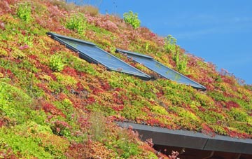 Loxhore Cott living roof systems