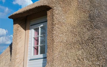 Loxhore Cott thatch roof disadvantages