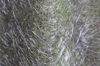 Loxhore Cott fibreglass roof work